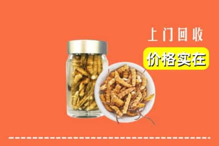 收购资讯:大同平城区回收散虫草