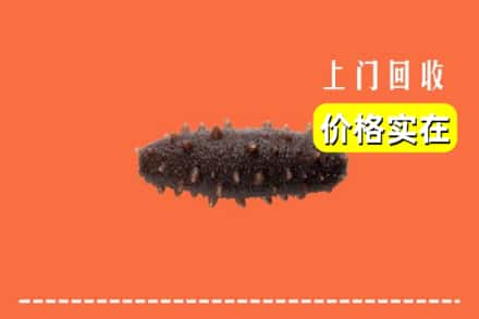 收购资讯:大同平城区回收海参