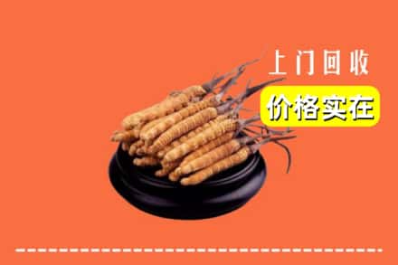 收购资讯:大同平城区回收冬虫夏草