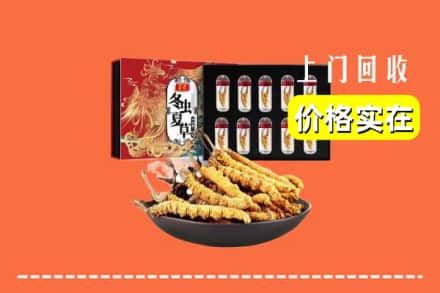 大同平城区回收虫草